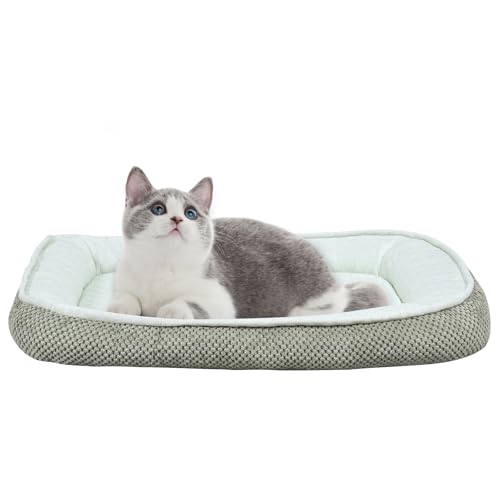Yoonnie room Kühlbett für Hunde mit Eisbohnenstoff, Katzen-Kühlmatte mit PP-Baumwoll-Füllung, Haustier-Kühlmatte für Hunde und Katzen, Sommer, Kühlkissen für Welpen, Größe L Yoonnie room Kühlbett für Hunde mit Eisbohnenstoff, Katzen-Kühlmatte mit PP-Baumwoll-Füllung, Haustier-Kühlmatte für Hunde und Katzen, Sommer, Kühlkissen für Welpen, Größe L von Yoonnie room