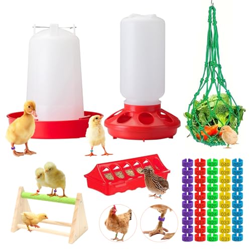 Futterstation für Küken und Bewässerung, Starter-Set, inklusive Sitzstange, Beinbändern und Spielzeug, BPA-freie Kunststoff-Futterspender für Küken, Enten, Wachteln, Stall und Brutzubehör von YoouDamy