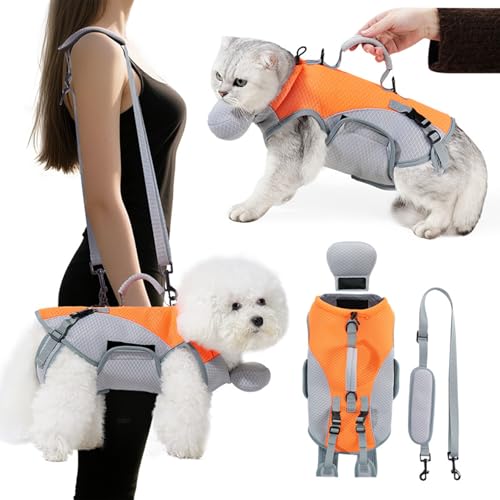 Rucksack und Leine für Katzen und kleine Hunde, atmungsaktives Netzgewebe, abziehbarer Griff, abnehmbares Kühlkissen, Größe M von YoouDamy
