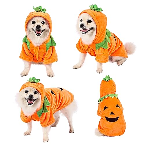 Yoption Halloween-Kostüm für Hunde und Welpen, Größe XL von Yoption