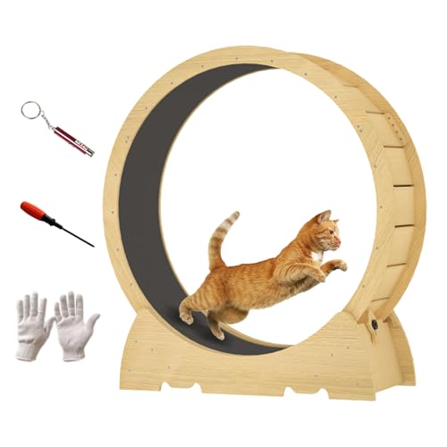 Yopyuenn Katzenlaufrad, 44 Zoll großes XL-Katzenlaufband, Katzenübungsrad mit Teppichläufer, Indoor-Katzenlaufrad, Katzenhamsterrad, Katzengewichtsverlust und Gesundheit Yopyuenn Katzenlaufrad, 44 Zoll großes XL-Katzenlaufband, Katzenübungsrad mit Teppichläufer, Indoor-Katzenlaufrad, Katzenhamsterrad, Katzengewichtsverlust und Gesundheit von Yopyuenn