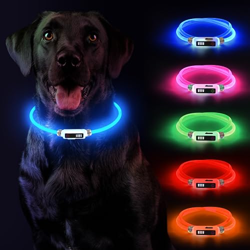 Leuchthalsband Hund Yordawn LED Hundehalsband USB Aufladbar Wasserdicht Längenverstellbarer Haustier Sicherheit Kragen Stromanzeige 3 Beleuchtungsmodi für Kleine Mittlere Blau von Yordawn