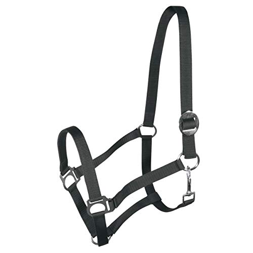 York Nylonhalfter Halfter Genickstück Verstellbar durch Schiebeschnalle Harmony Pferdehalfter (Cob, dunkelgrau) von York