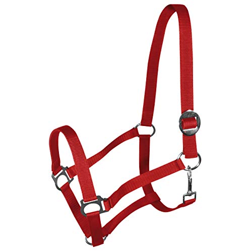 York Nylonhalfter Halfter Genickstück Verstellbar durch Schiebeschnalle Harmony Pferdehalfter (Cob, rot) von York Fitness