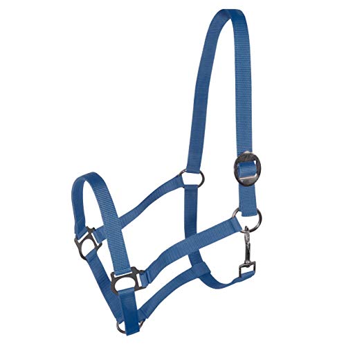 York Nylonhalfter Halfter Genickstück Verstellbar durch Schiebeschnalle Harmony Pferdehalfter (Full, blau) von York Fitness