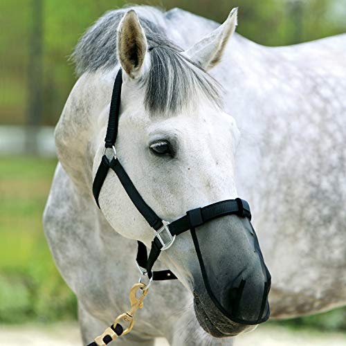 York Fliegen-Nasenschutz Nasennetz Nüsternschutz Fliegenschutz (Pony) von York