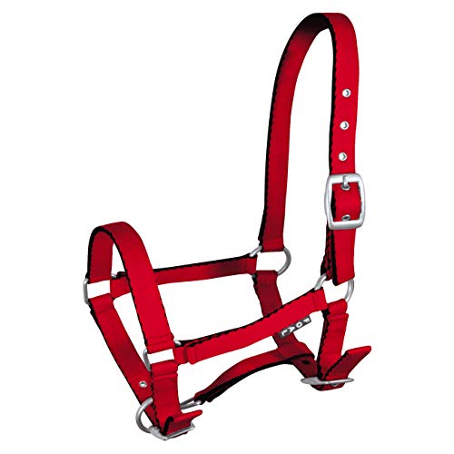 York Fohlenhalfter Mini Halfter Pferdehalfter Tobi versch. Farben (rot) von York