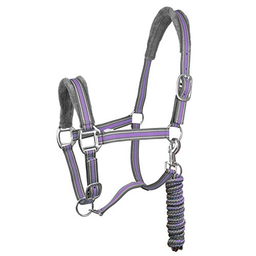 York Halfterset Halfter mit Strick Calipso Halfter & Strick gepolstert 5 Farben (Full, grau/violett) von York