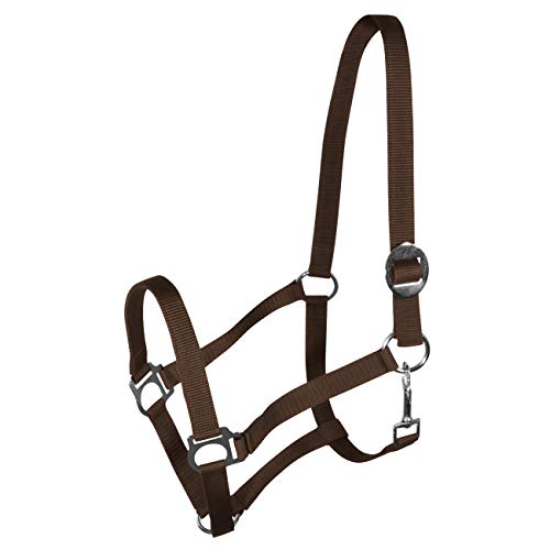 York Nylonhalfter Halfter Genickstück Verstellbar durch Schiebeschnalle Harmony Pferdehalfter (Cob, braun) von York