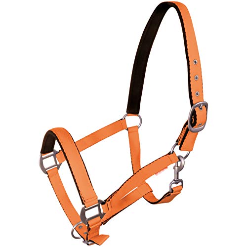 York Pferde Halfter Fluo weich unterlegt Stallhalfter Weidehalfter Reithalfter (Pony, orange) von York