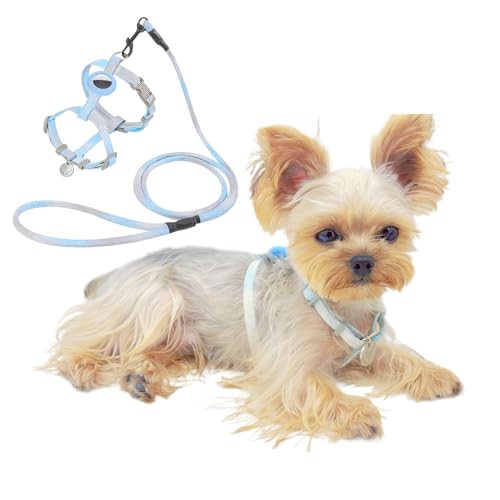 YorkieGogo Anti-Zug-Hundegeschirr und -Leine mit AirTag-Halter für kleine/kleine Katzen und Hunde, kühlende und leichte Weste, perfekt für den Sommer, XXS (Blau, S) von YorkieGogo