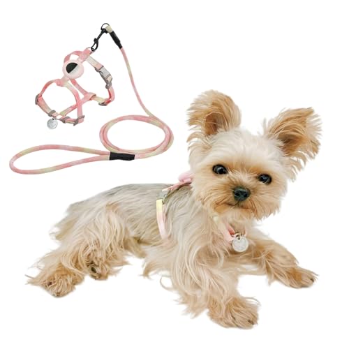 YorkieGogo Anti-Zug-Hundegeschirr und -Leine mit AirTag-Halter für kleine/kleine Katzen und Hunde, kühlende und leichte Weste, perfekt für den Sommer, XXS (Orange, M) von YorkieGogo