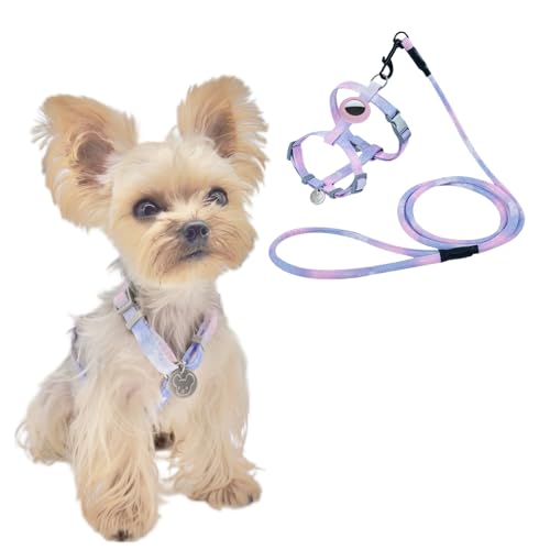 YorkieGogo Anti-Zug-Hundegeschirr und -Leine mit AirTag-Halter für kleine/kleine Katzen und Hunde, kühlende und leichte Weste, perfekt für den Sommer, XXS (Violett, M) von YorkieGogo