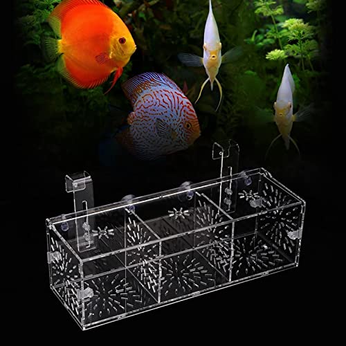 Fisch-Isolationsbox, Transparente Acryl-Aquarium-Zucht-Isolationsbox, Aquarium-Brutkasten-Inkubator-Fischtrennungs-Zuchtbox für Aquarium (30 cm * 10 cm * 10 cm) von Yosoo Health Gear