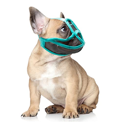 Maulkorb für Hunde mit Kurzer Schnauze, Verstellbar, Atmungsaktiv, Gegen Beißen, Bulldogge Kann die Zunge Herausstrecken und Wasser Trinken, Anti-Beiß-Training für Hunde, die (S) von Yosoo Health Gear