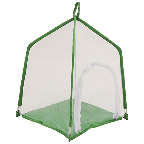 Yosoo Health Gear Beobachtungskäfig, Hausförmiges Gartenkäfig mit Accessoires for Science Education Experiment von Yosoo Health Gear