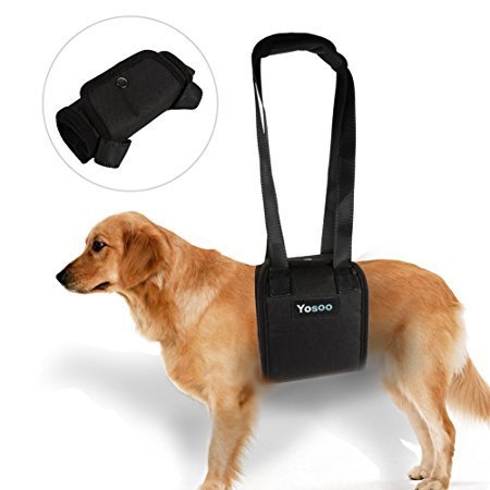 Portable Dog Lifting Support Harness - Hund Hilfe mit schwachen Vorder- oder Hinterbeinen Steh auf, geh, steig in Autos ein, klettere Treppen um zu deaktivieren, verletzt, älteres Haustier (Größe: XL) Portable Dog Lifting Support Harness - Hund Hilfe mit schwachen Vorder- oder Hinterbeinen Steh auf, geh, steig in Autos ein, klettere Treppen um zu deaktivieren, verletzt, älteres Haustier (Größe: XL) von Yosoo