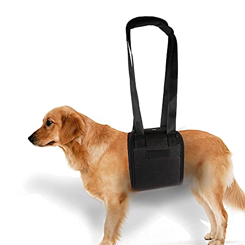 yosoo Hilfsgürtel für Hunde, Gürtel AUX für die Haustiere Geschirr Klassische Traversenlift für die ältere Tiere oder Krank-Hund mit und Aussteigen Treppen, und Aussteigen Fahrzeuge von Yosoo