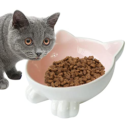 Cat Bowls Elevated Tilted, Whisker Friendly Cat Bowl, Cute Dog Bowls - Ceramic Pet Food Bowl for Flat-Faced Cats, Small Dogs, Dishwasher Safe von Youding