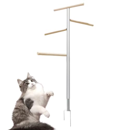 Hühner Barch - 4 -Level -Geflügelkletterrahmen | Chick Jungle Fitnessstudio Holzstand | Raumsparende Hühnerständer mit hoher Tragfähigkeit | Hühnchenkletternbarsch für Hühner, Hähne, Küken, Enten Hühner Barch - 4 -Level -Geflügelkletterrahmen | Chick Jungle Fitnessstudio Holzstand | Raumsparende Hühnerständer mit hoher Tragfähigkeit | Hühnchenkletternbarsch für Hühner, Hähne, Küken, Enten von Youding