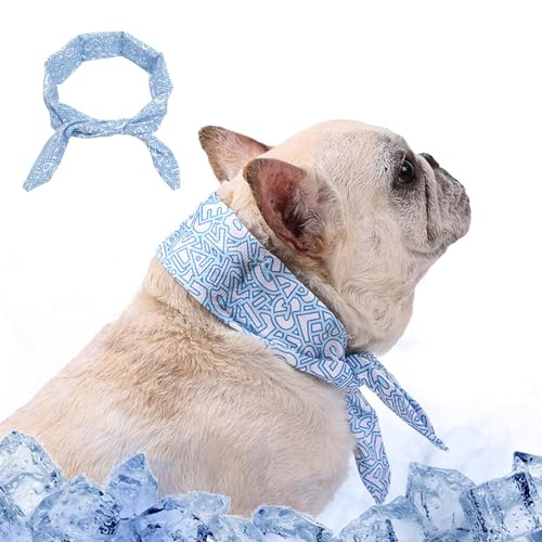 Hundekühlung Bandana - Sofortige Chill Out Ice Schal Haustier Bandanas | Eishalsschalel | Verstellbarer Nackenwickkühler | Weiche, atmungsaktiven Nackenpackungen für heißes Wetter, Außenspaziergänge, Hundekühlung Bandana - Sofortige Chill Out Ice Schal Haustier Bandanas | Eishalsschalel | Verstellbarer Nackenwickkühler | Weiche, atmungsaktiven Nackenpackungen für heißes Wetter, Außenspaziergänge, von Youding