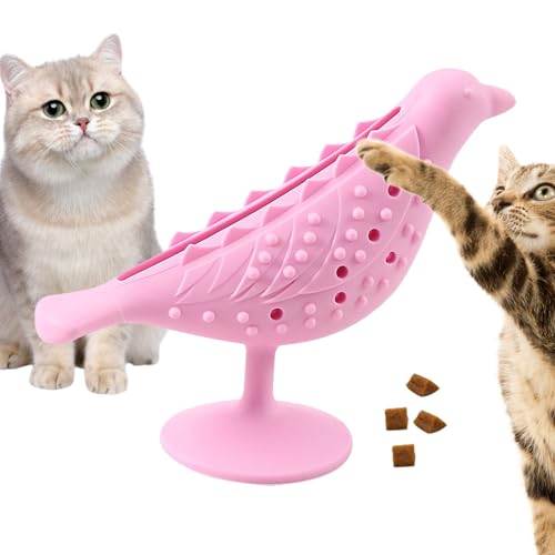 Katzenspielzeug für Katzen | Beißspielzeug für Katzen, Gesichtskratzer, Futterspender mit Saugnapf | sicheres Kauspielzeug für Katzen zum Stressabbau Katzenspielzeug für Katzen | Beißspielzeug für Katzen, Gesichtskratzer, Futterspender mit Saugnapf | sicheres Kauspielzeug für Katzen zum Stressabbau von Youding