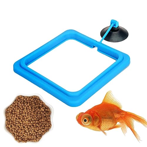 Schwimmende Ringe für Aquarien, sicherer Fisch-Futterring, Futterspender mit Saugnapf, Aquarium-Futterring, Fischfutterspender, Verschmutzungs-Futterring für Fischbräune Schwimmende Ringe für Aquarien, sicherer Fisch-Futterring, Futterspender mit Saugnapf, Aquarium-Futterring, Fischfutterspender, Verschmutzungs-Futterring für Fischbräune von Youding