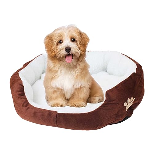 Warmes Katzenbett, bequemes Schlafbett für Katzen und kleine Hunde, waschbare Katzenbetten und Welpenbett für zu Hause, Bett für Haustiere Warmes Katzenbett, bequemes Schlafbett für Katzen und kleine Hunde, waschbare Katzenbetten und Welpenbett für zu Hause, Bett für Haustiere von Youding