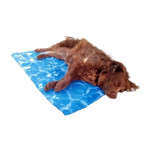 Youding Chien Erfrischender Teppich | /11.81x15.75 Zoll Tragbare Tierische Anti -Challer Youding Chien Erfrischender Teppich | /11.81x15.75 Zoll Tragbare Tierische Anti -Challer von Youding