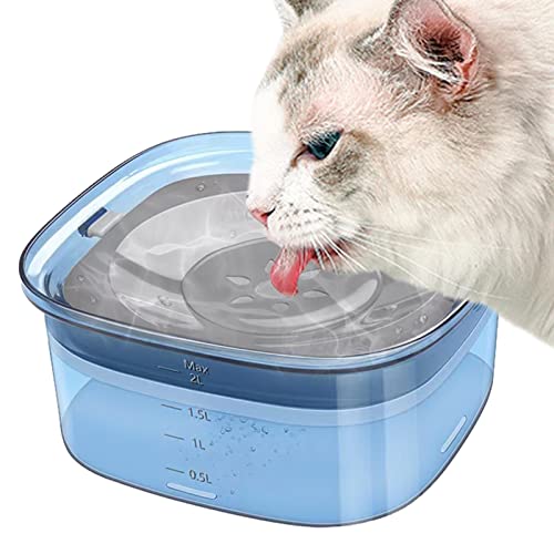 Youding Hund Wassernapf, 2L Hundenapf Große Kapazität Nicht Verschütten Langsam Trinken Haustier Wassernapf Rutschfester Langsamer Wasserspender Anti-Ersticken Hundenapf Fahrzeug Reise Hund Wassernapf Youding Hund Wassernapf, 2L Hundenapf Große Kapazität Nicht Verschütten Langsam Trinken Haustier Wassernapf Rutschfester Langsamer Wasserspender Anti-Ersticken Hundenapf Fahrzeug Reise Hund Wassernapf von Youding
