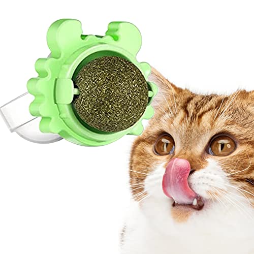 Youding Wandball für Katzen | Tragbares Katzenspielzeug Katzenspielzeug, Essbare Kugeln, drehbar, Katzenspielzeug, Katzenspielzeug, Katzenspielzeug, Schleifen, Zähne für erwachsene Katzen Youding Wandball für Katzen | Tragbares Katzenspielzeug Katzenspielzeug, Essbare Kugeln, drehbar, Katzenspielzeug, Katzenspielzeug, Katzenspielzeug, Schleifen, Zähne für erwachsene Katzen von Youding