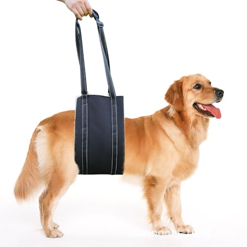 Verstellbarer Hunde Tragehilfe für Mittelgroße/Große Hunde, Sicherheitsunterstützung für Alte Verletzte Behinderte Hunde, Rehabilitationsgeschirr mit Polsterung Verstellbarer Hunde Tragehilfe für Mittelgroße/Große Hunde, Sicherheitsunterstützung für Alte Verletzte Behinderte Hunde, Rehabilitationsgeschirr mit Polsterung von Youlebi