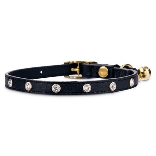 Youly Bejeweled Katzenhalsband aus schwarzem Leder mit Sicherheits-Stretch, Größe S/M Youly Bejeweled Katzenhalsband aus schwarzem Leder mit Sicherheits-Stretch, Größe S/M von Youly