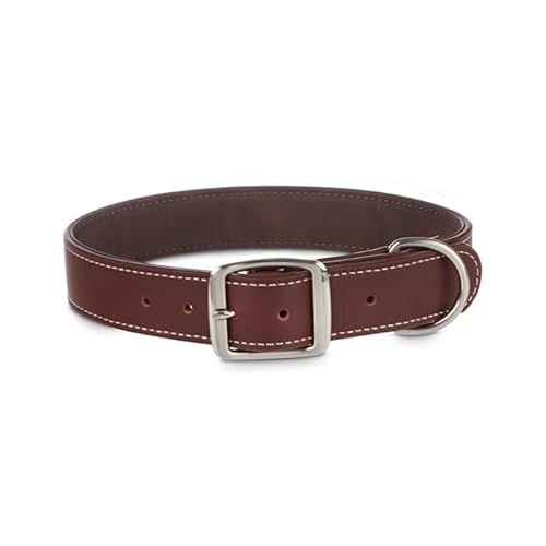 Youly Braunes Lederhalsband für große Hunde, Größe XL/XXL Youly Braunes Lederhalsband für große Hunde, Größe XL/XXL von Youly