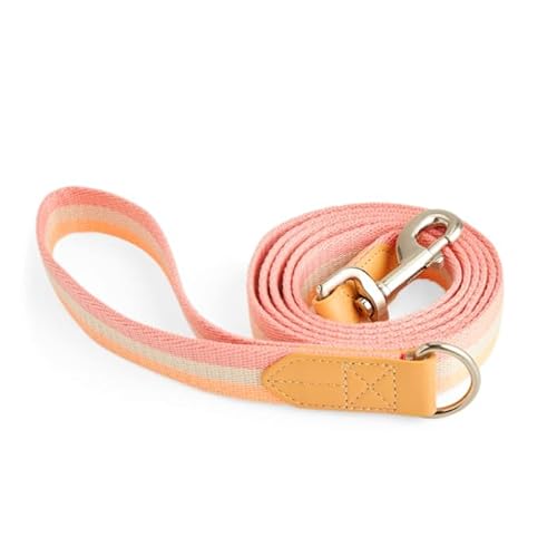 Youly Creamsicle Hundeleine, 1,8 m von Youly