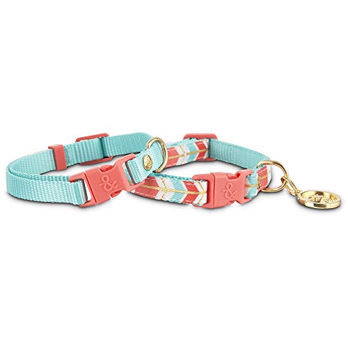 Youly Halsbänder für kleine Hunde, Türkis und Koralle, Größe XS/S, 2 Stück Youly Halsbänder für kleine Hunde, Türkis und Koralle, Größe XS/S, 2 Stück von Youly