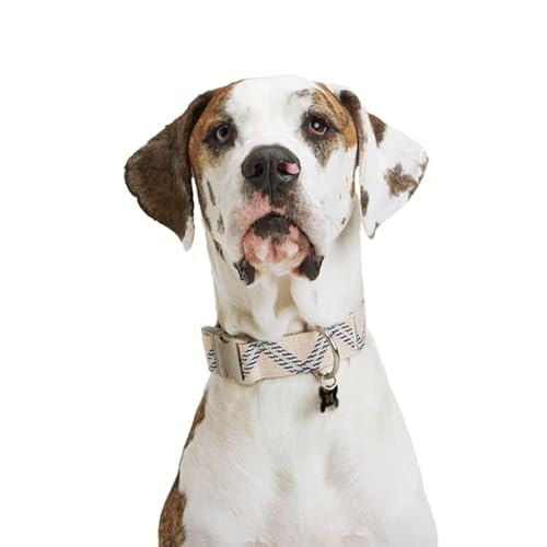Youly Hundehalsband mit geometrischem Druck, Zickzack-Muster, Größe XL/XXL, Blau Youly Hundehalsband mit geometrischem Druck, Zickzack-Muster, Größe XL/XXL, Blau von Youly