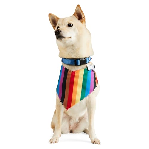 Youly Pride Flag Wendbares Bandana für Hunde und Katzen, X-Small/Small, Regenbogen von Youly