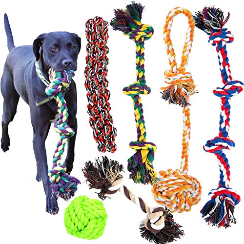 Youngever 6er Pack Hundeseilspielzeug Set für Welpe Hunde, Welpen Kauspielzeug Zahnen Spielzeug Hund Seil Kauspielzeug für mittlere bis große Hunde Youngever 6er Pack Hundeseilspielzeug Set für Welpe Hunde, Welpen Kauspielzeug Zahnen Spielzeug Hund Seil Kauspielzeug für mittlere bis große Hunde von Youngever