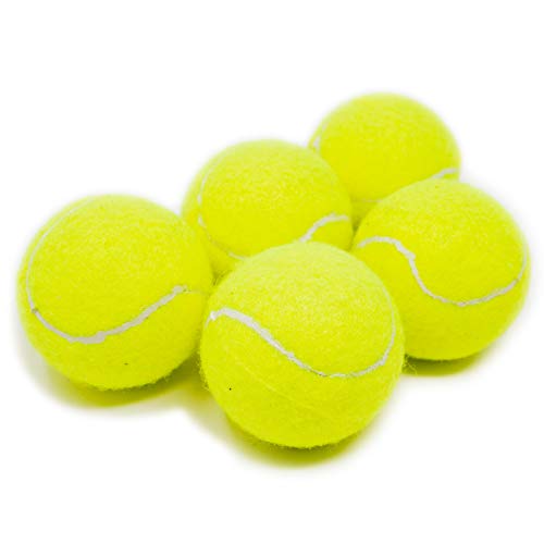 Youngever Tennisbälle für Hunde, Hundespielzeug für Training und Training, für mittelgroße und extra große Rassen, 5 Stück von Youngever