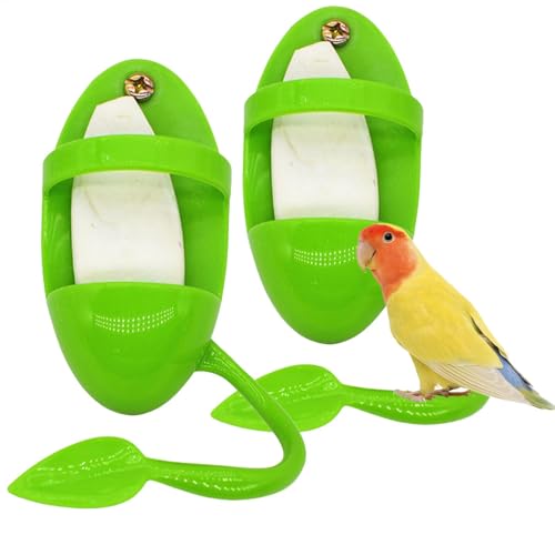 Youngwier 2 Stück Wellensittich Sepiaschale Mit Halterung, Sepiaschalen Halterung Für Vögel, Vogelkäfig Zubehör Wellensittich Mit 2 Sepiaschalen Vogelfuttersäule Futterbehälter Vogelfutterspielzeug von Youngwier