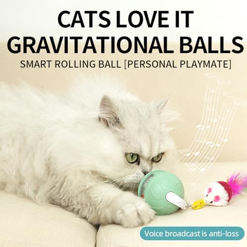 Youngwier Beweglicher Ball Für Katzen | Interaktive Elektrische Rollende Bälle Für Katzen | Sicher Haustier Spielzeug Bewegungszubehör Für Haus Wohnung Garten Balkon Wohnzimmer von Youngwier