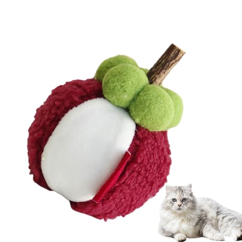 Youngwier Catnip Plüschspielzeug, Katzenspielzeug mit Katzenminze - Weiche Plüsch Interaktives Kätzchen Bite Toy | PET -Simulation gefüllte Früchte für die Zähnereinigung reduzieren Langeweile von Youngwier