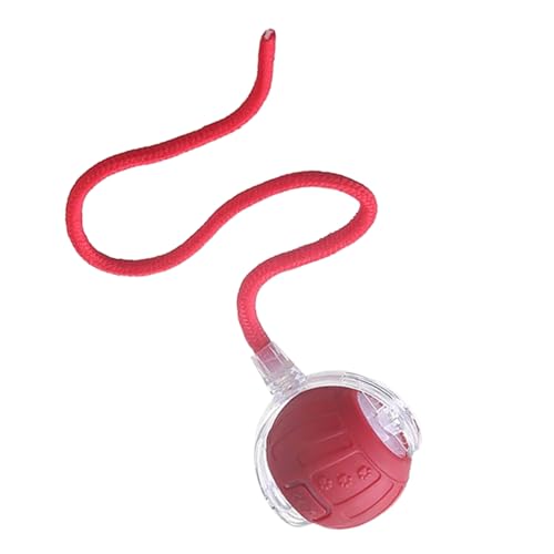 Youngwier Elektrische Katzenball - Automatisch Rollendes Katzen Spielzeug Interaktiv,Leises Elektroball mit Schwanzseil zur Unterhaltung, Indoor-Training & Jagdsimulation bei Langeweile von Youngwier