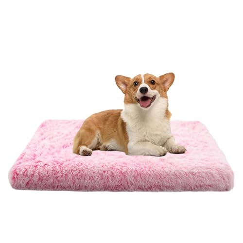 Youngwier Haustier-Heizkissen, Haustierwärmermatte - Warme Hundebox-Unterlage,Doppelseitige Hundebox-Auflage, Nicht elektrisches Winter-Haustierbett, abnehmbar für Haustiere, Katzen, Hunde von Youngwier