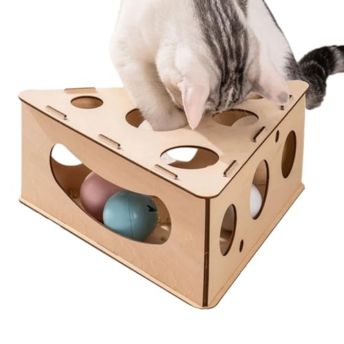 Youngwier Katzenspielzeug für gelangweilte Erwachsene Hauskatzen, interaktives Katzenspielzeug, Interaktives Katzenspielzeug, Ball, bewegliches Katzenspielzeug, Interaktives Katzenspielzeug aus, Youngwier Katzenspielzeug für gelangweilte Erwachsene Hauskatzen, interaktives Katzenspielzeug, Interaktives Katzenspielzeug, Ball, bewegliches Katzenspielzeug, Interaktives Katzenspielzeug aus, von Youngwier