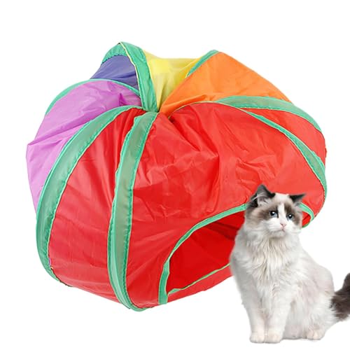 Youngwier Katzenspielzeugtunnel,Katzenspieltunnel - Katzentunnel-Röhrenspielzeug - Zusammenklappbares Haustier-Katzentunnel-Röhrenspielzeug, Bunte Tunnel für Hauskatzen, Kätzchenloch-Spielzeugball, Youngwier Katzenspielzeugtunnel,Katzenspieltunnel - Katzentunnel-Röhrenspielzeug - Zusammenklappbares Haustier-Katzentunnel-Röhrenspielzeug, Bunte Tunnel für Hauskatzen, Kätzchenloch-Spielzeugball, von Youngwier