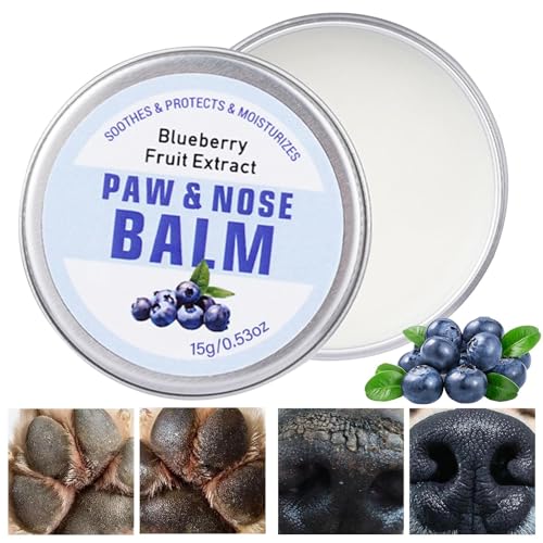 Youngwier Pfotenbalsam für Haustiere, Hundepfotenbalsam, 15 g pflegender Hundepfoten-Creme-Nasenbalsam, Leicht einziehende Hautpflegecreme für kleine, mittelgroße und große Hunde gegen rissige Pfoten Youngwier Pfotenbalsam für Haustiere, Hundepfotenbalsam, 15 g pflegender Hundepfoten-Creme-Nasenbalsam, Leicht einziehende Hautpflegecreme für kleine, mittelgroße und große Hunde gegen rissige Pfoten von Youngwier