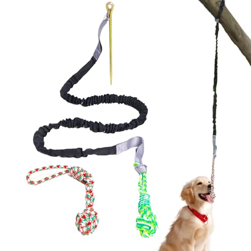 Youngwier Seilspielzeug für Aggressive Kauer - Buntes Schleppseilspielzeug für Hunde,Tauziehen-Hundezugseil, interaktives Zahnreinigungsseil für mittelgroße und große Hunde von Youngwier
