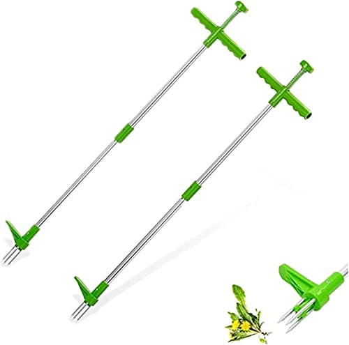 Löwenzahnstecher Unkrautstecher mit Stahlkrallen Unkraut Ausstecher Distelstecher Unkrautentferner Stehen Unkrautzieher Langer Griff Garten Jätwerkzeug Entfernen von Unkraut ohne Bücken (2PCS) von Youning